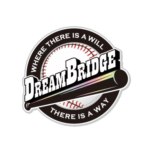DREAM BRIDGE CLUB